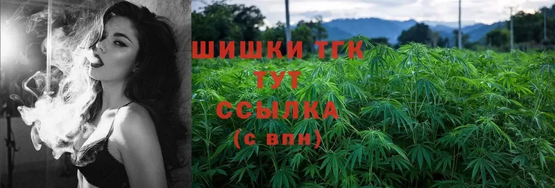 Каннабис OG Kush  Луза 